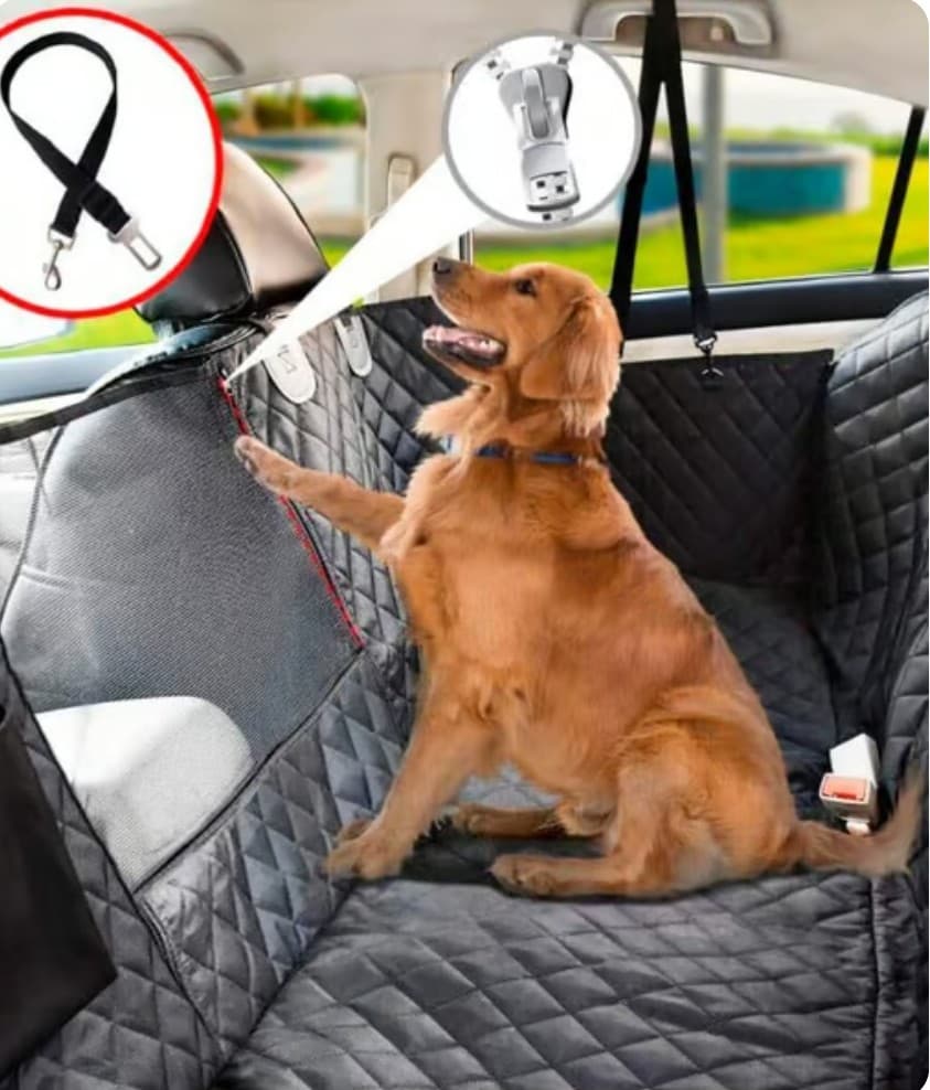 LILE - PROTECTOR SILLA CARRO TRASERA IMPERMEABLE