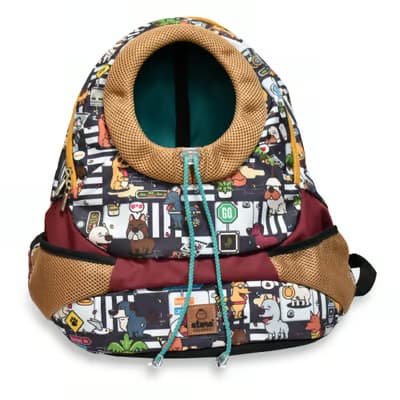women's latest fashion sale