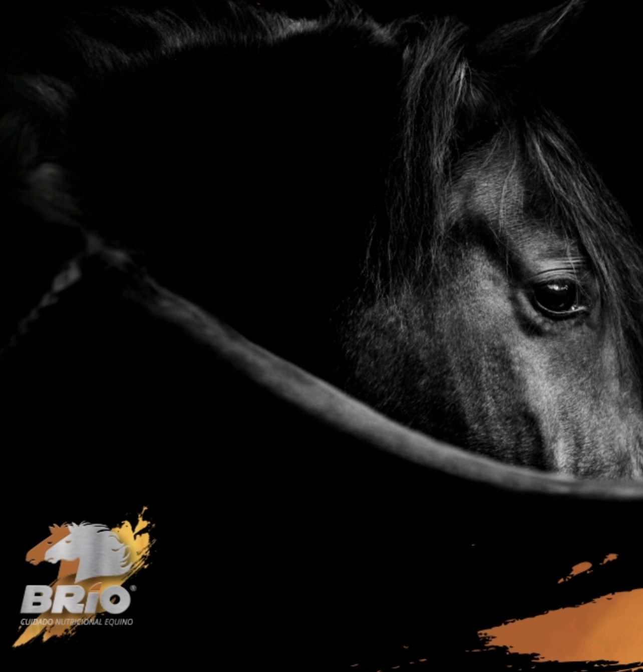 BRIO HORSE CARE 