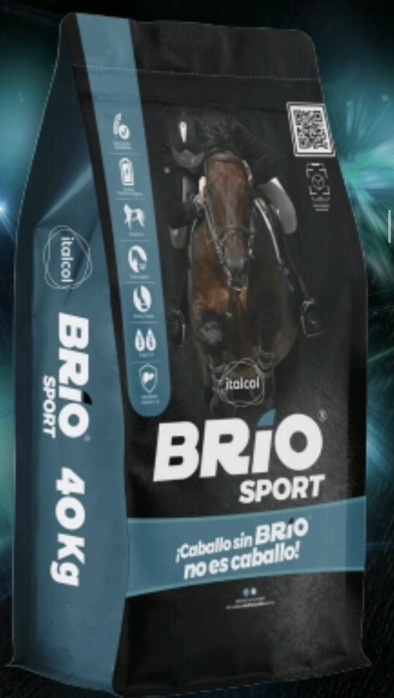 BRIO SPORT 