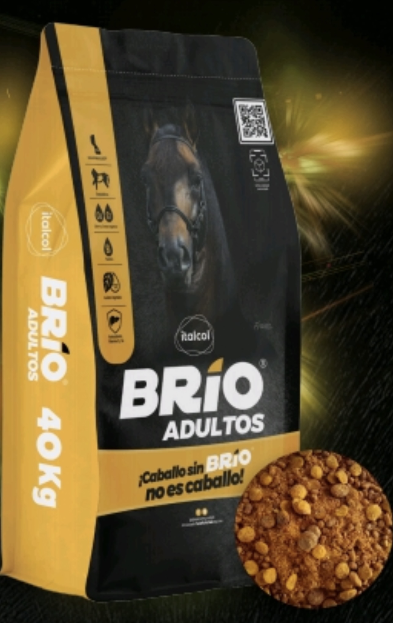 BRIO ADULTOS