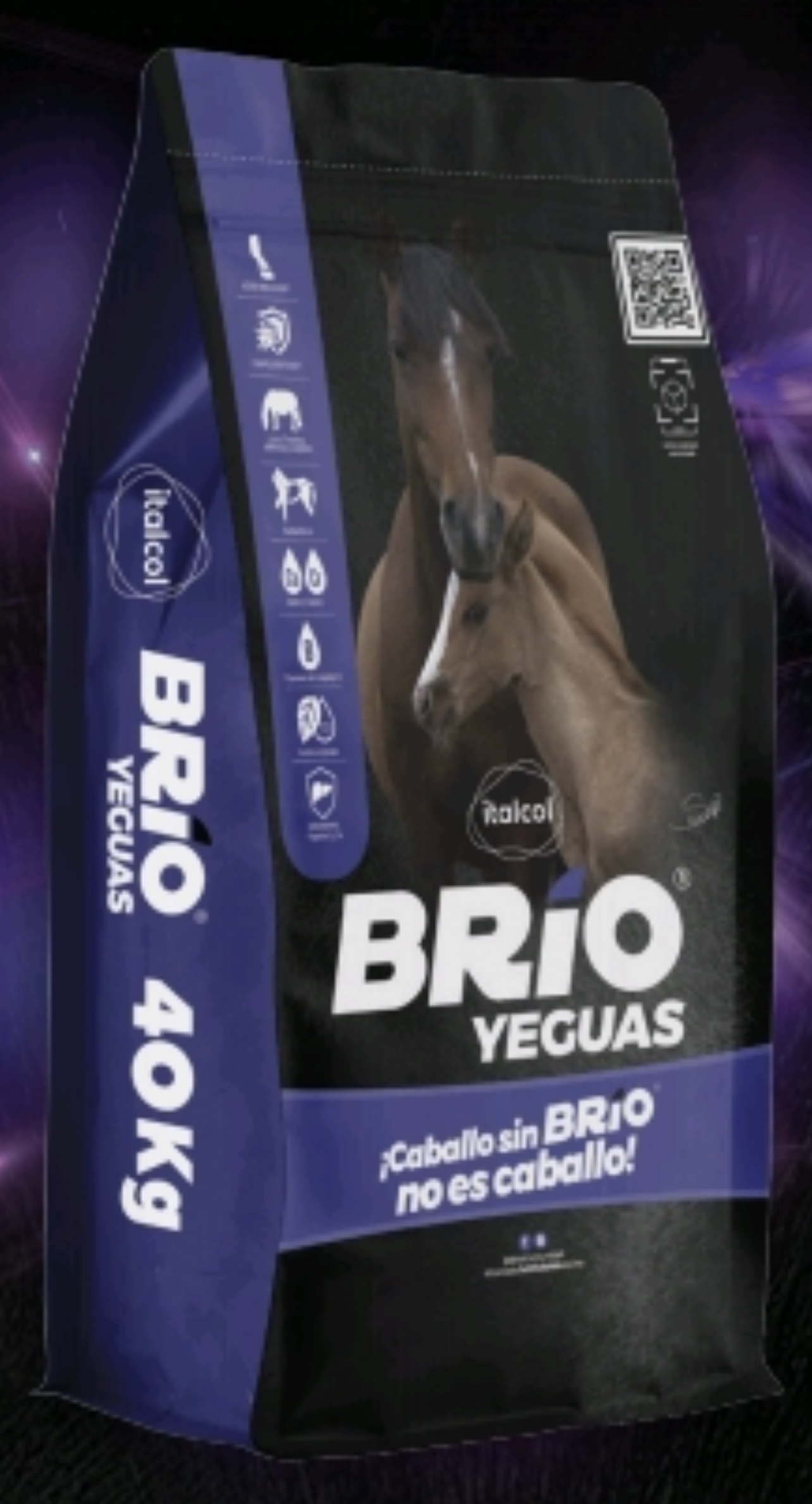 BRIO YEGUAS 