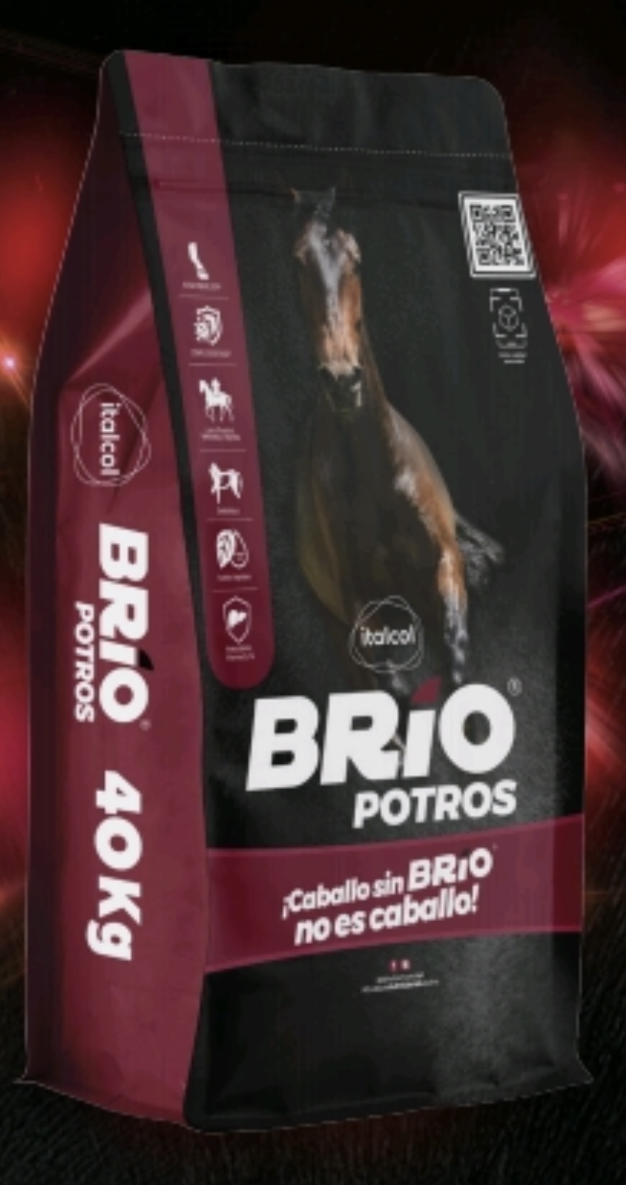 BRIO POTROS