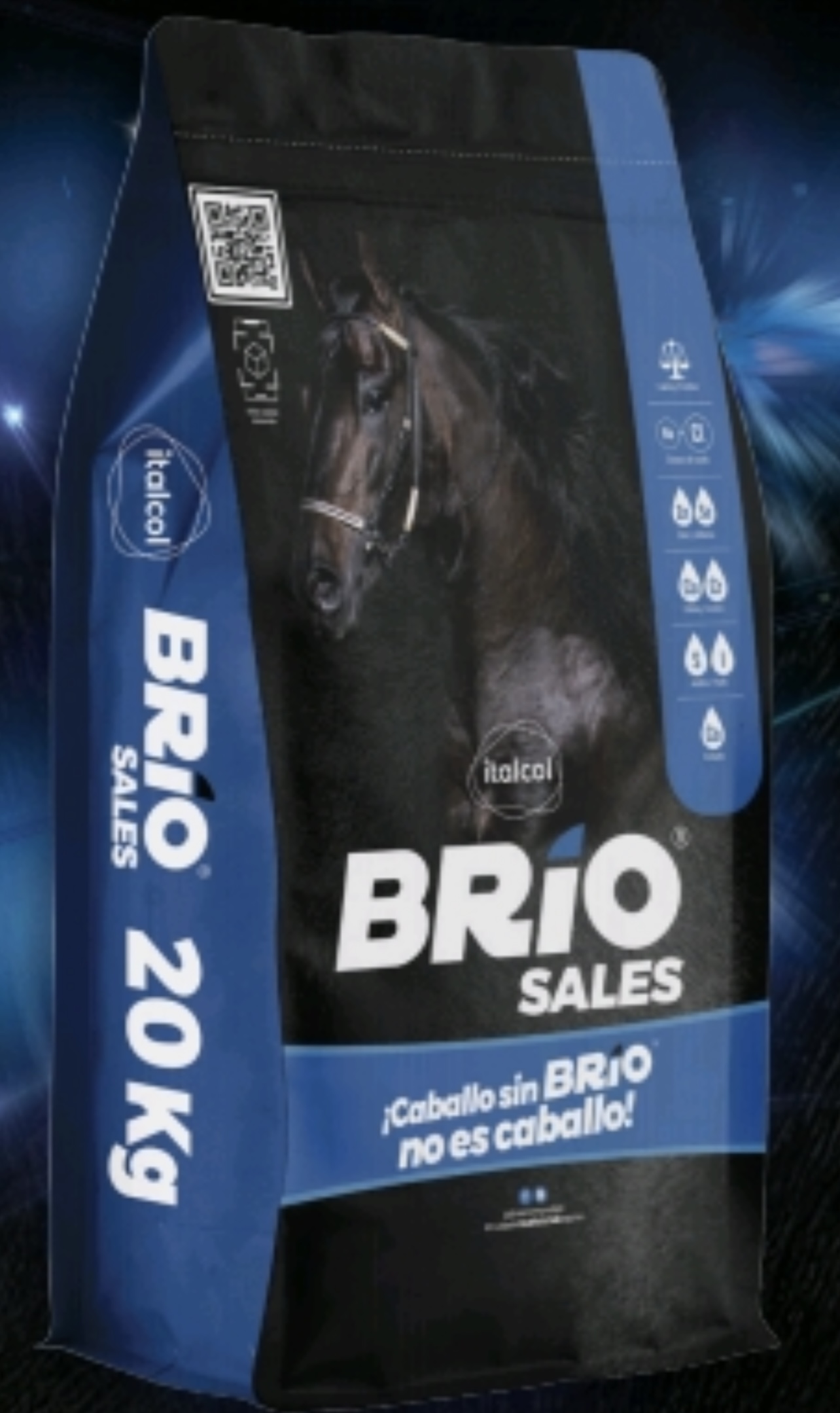 BRIO SALES 