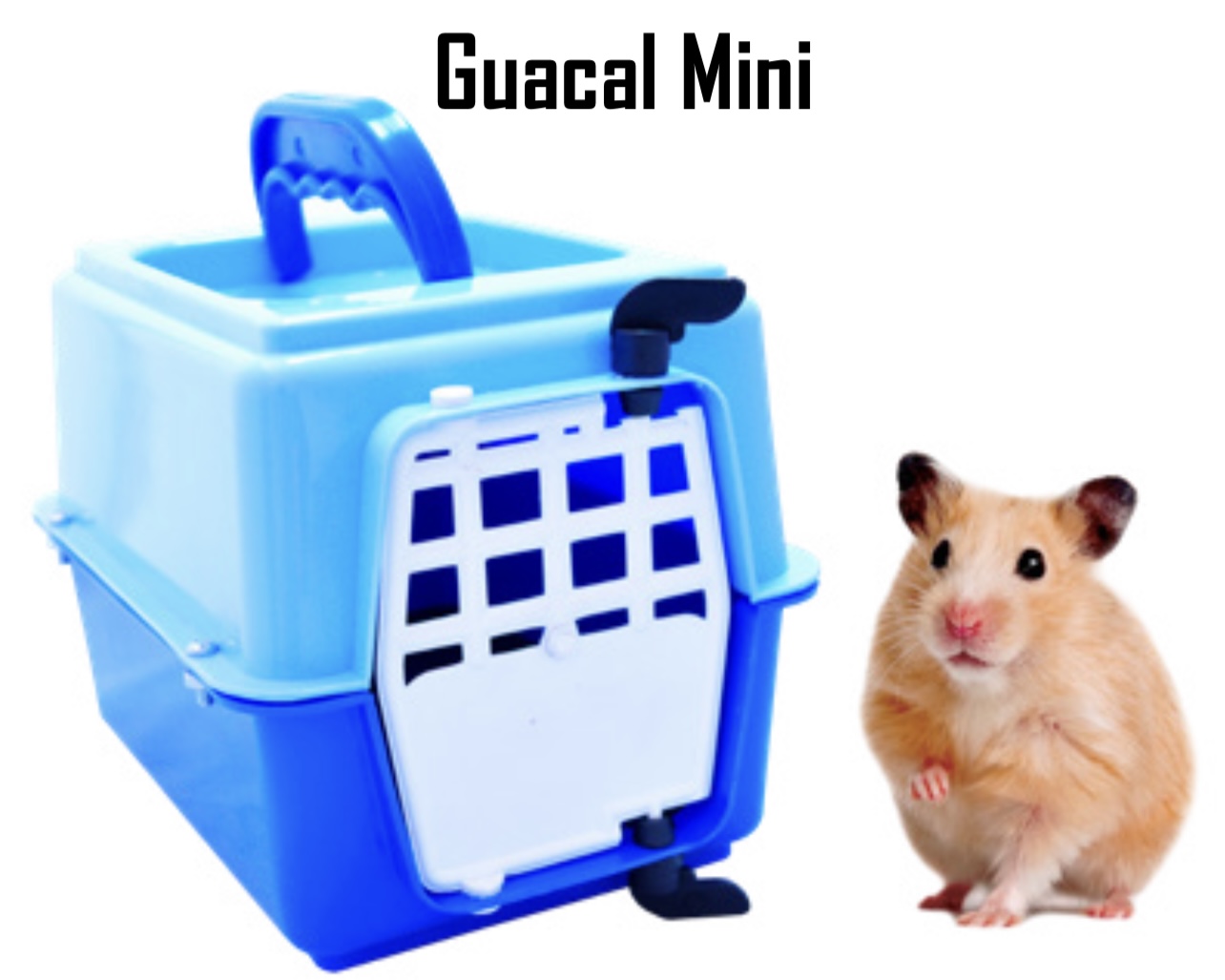 GUACAL MINI