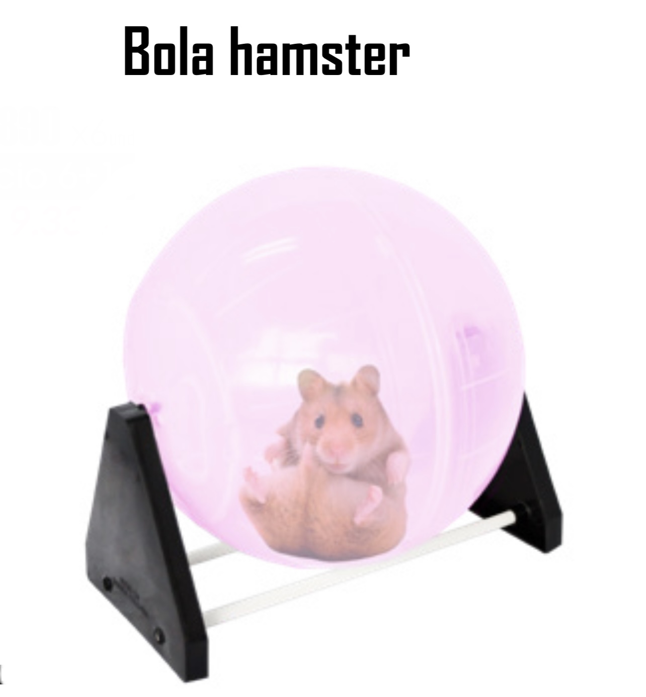 BOLA HAMS 