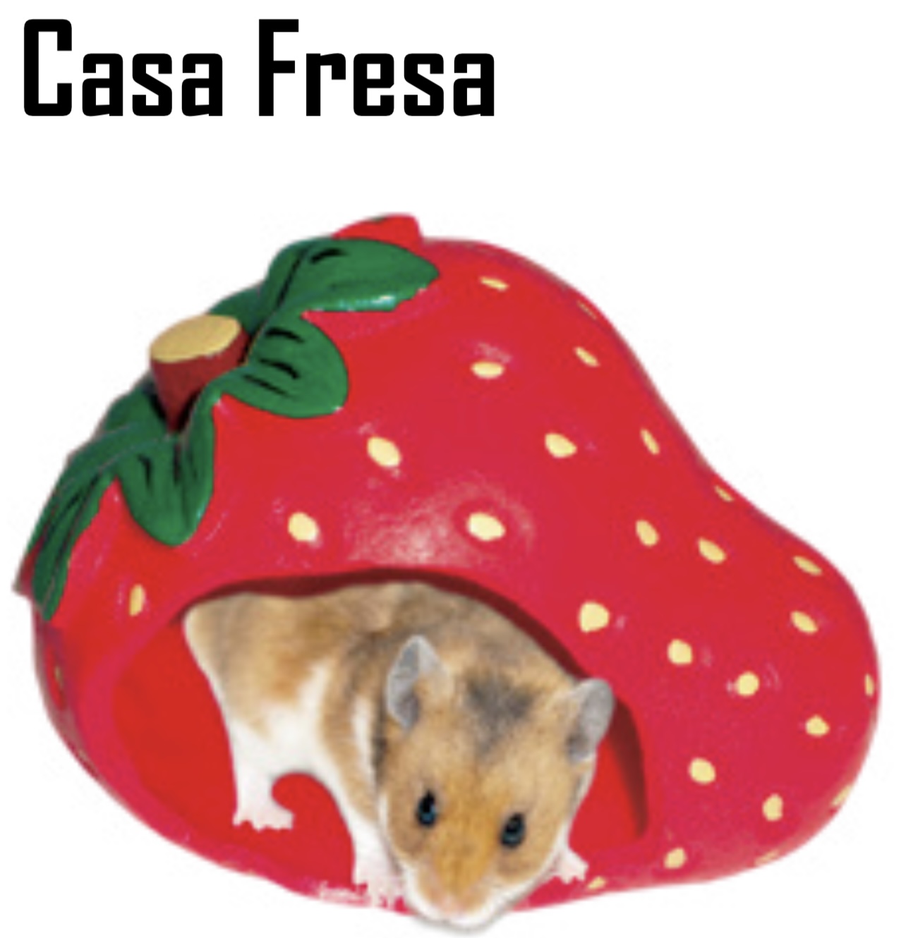 CASA FRESA