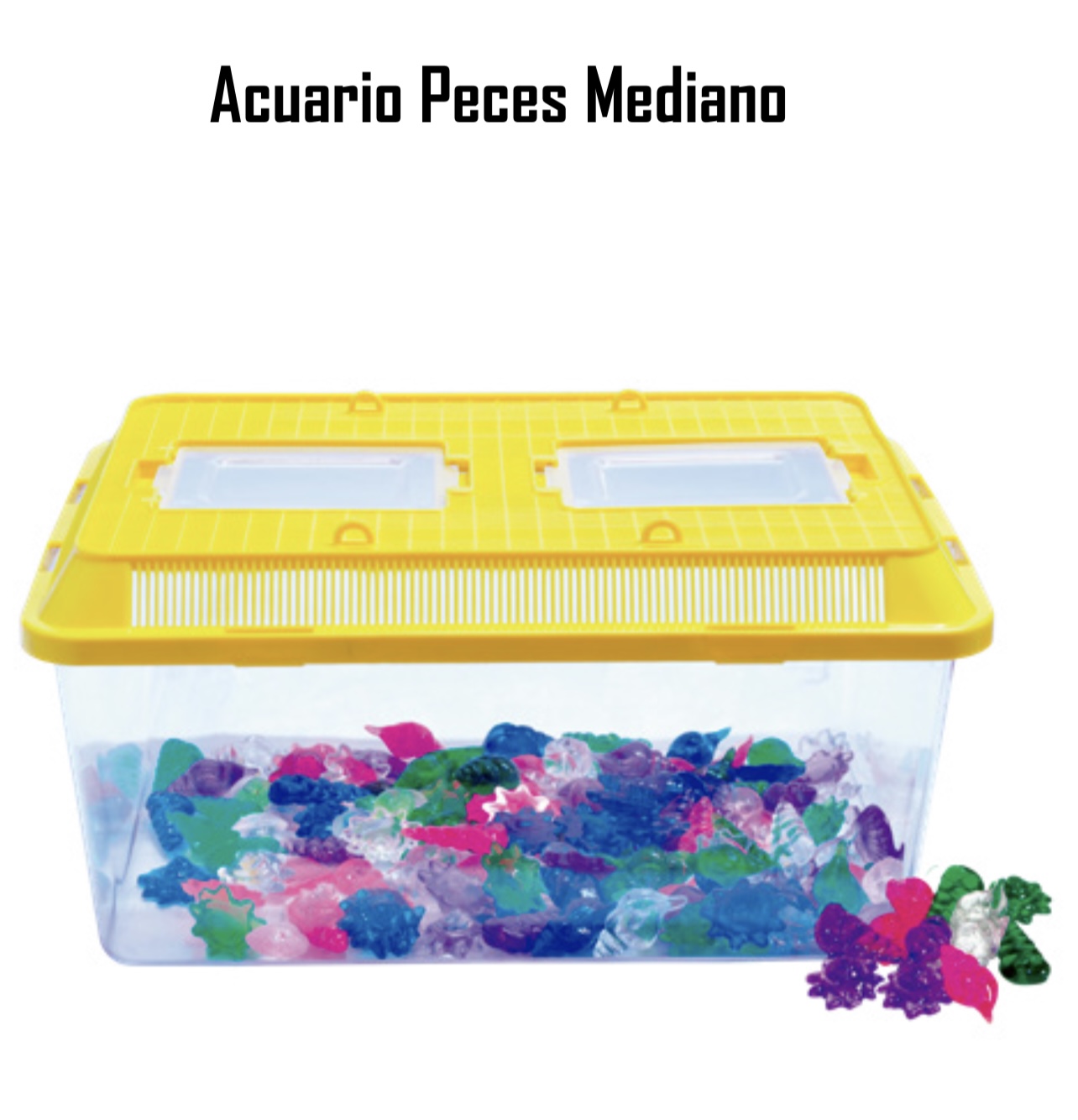 ACUARIO MEDIANO