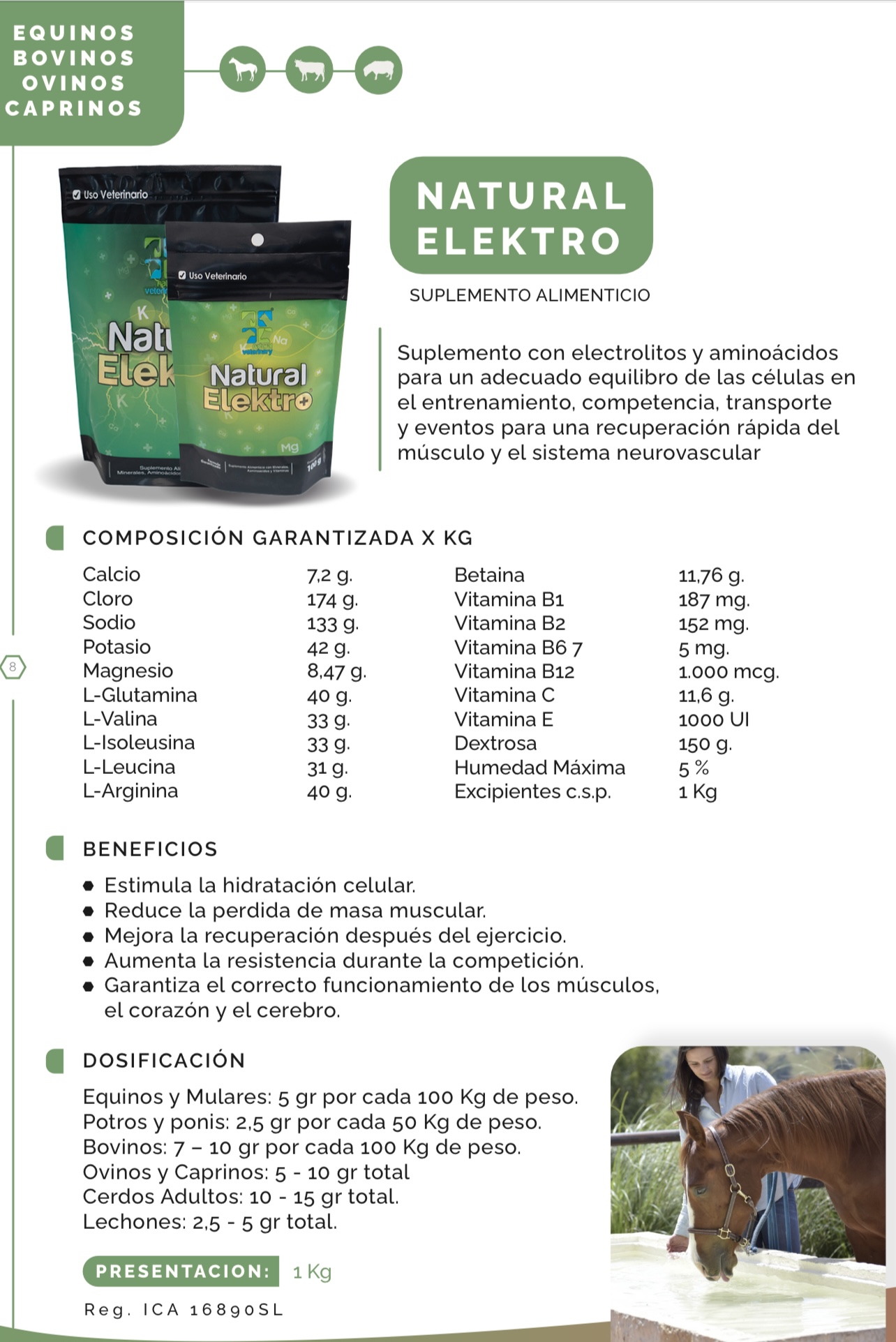 NATURAL ELEKTRO 100gr