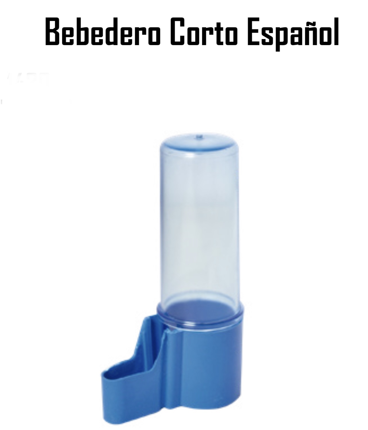 BEBEDERO CORTO ESPAÑOL