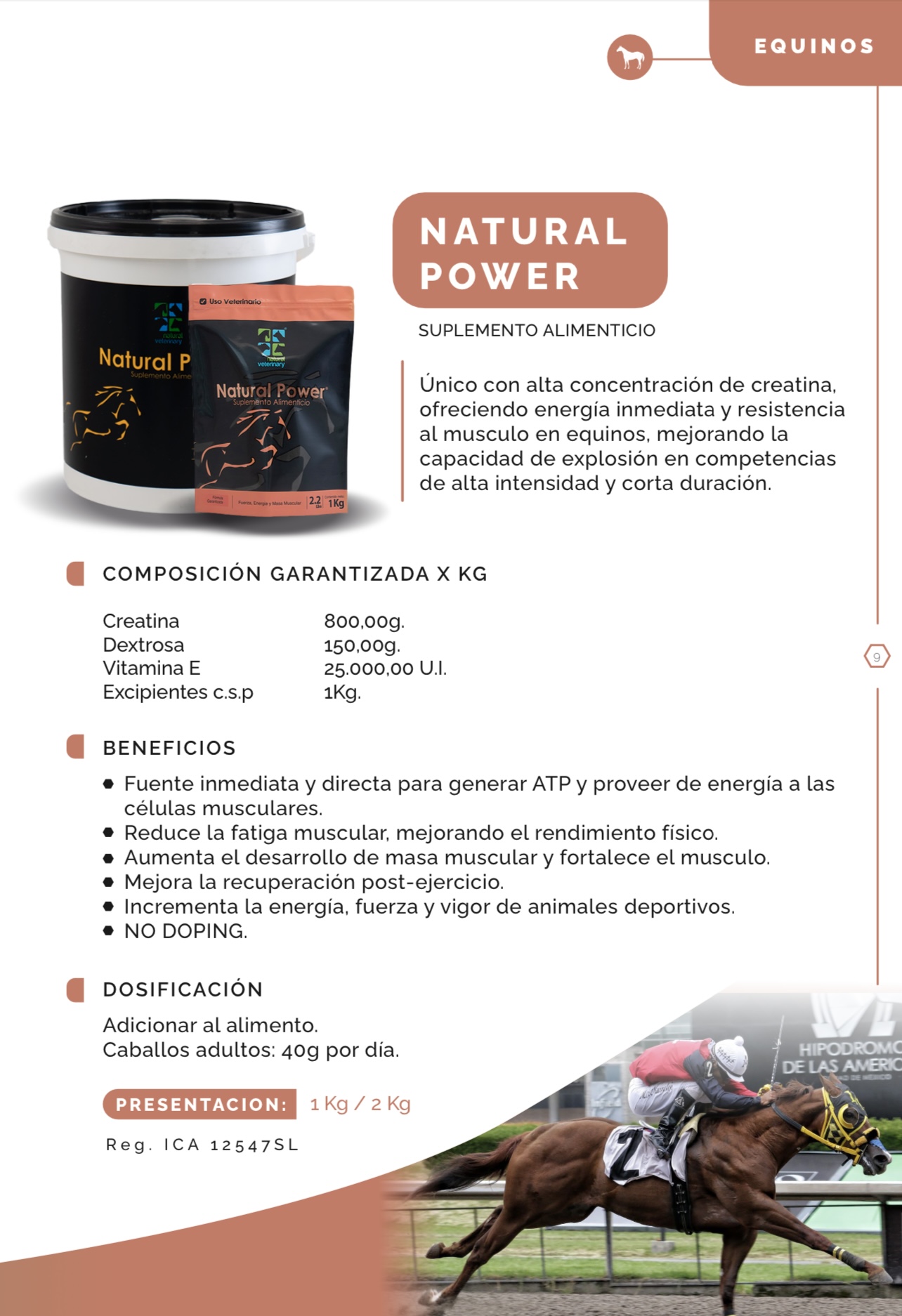 NATURAL POWER 100gr