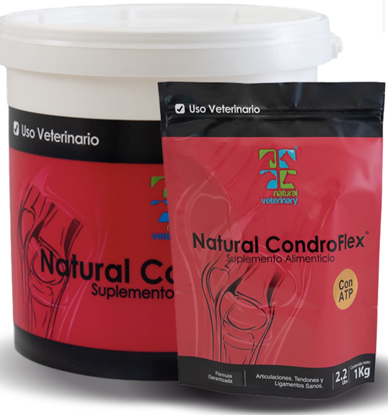 NATURAL CONDROFLEX 100Grs