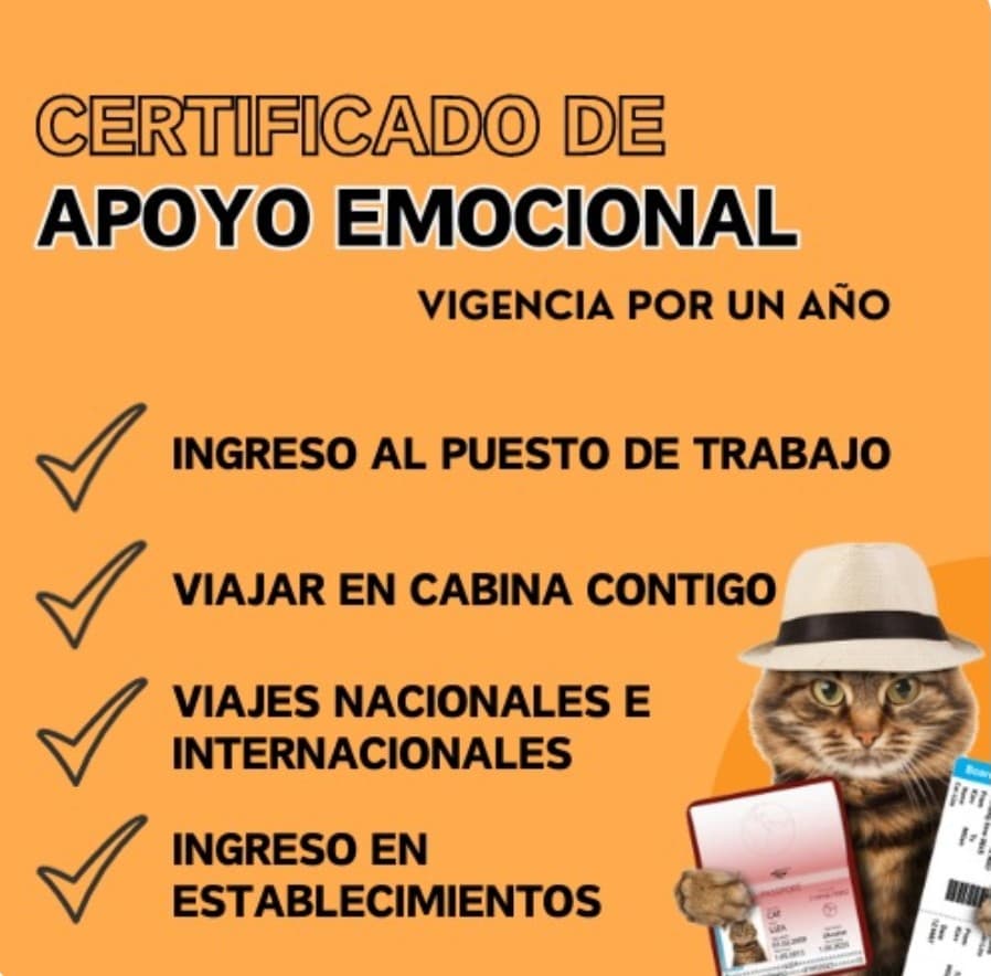 CERTIFICADO APOYO EMOCIONAL CATS