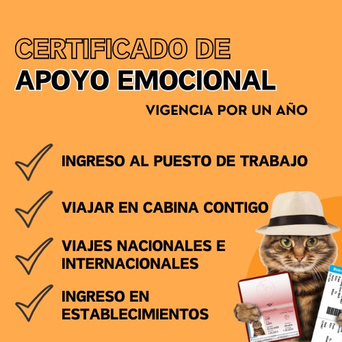 CERTIFICADO APOYO EMOCIONAL CATS