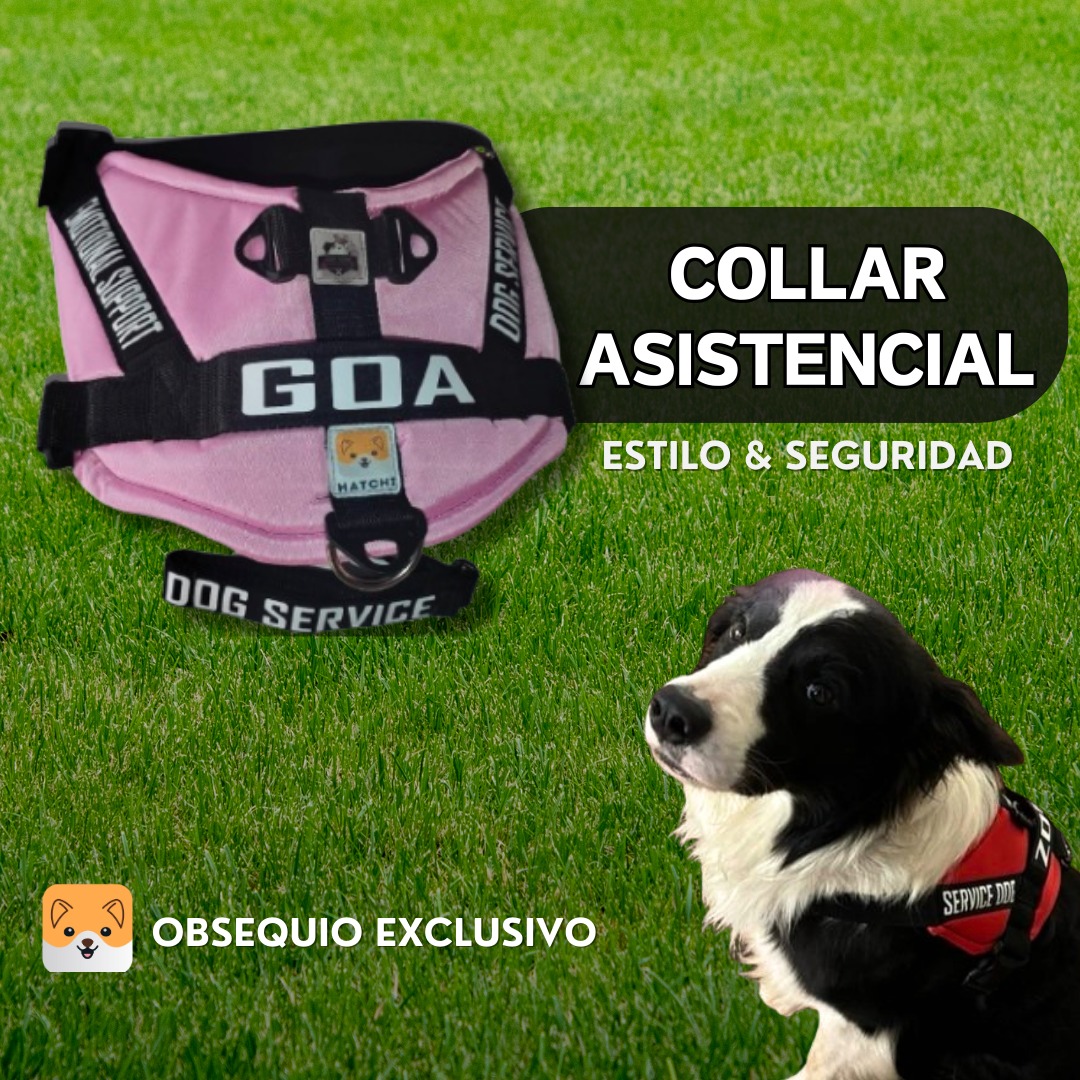 COLLAR ASISTENCIAL DOG SERVICE/EMOTIONAL SUPPORT