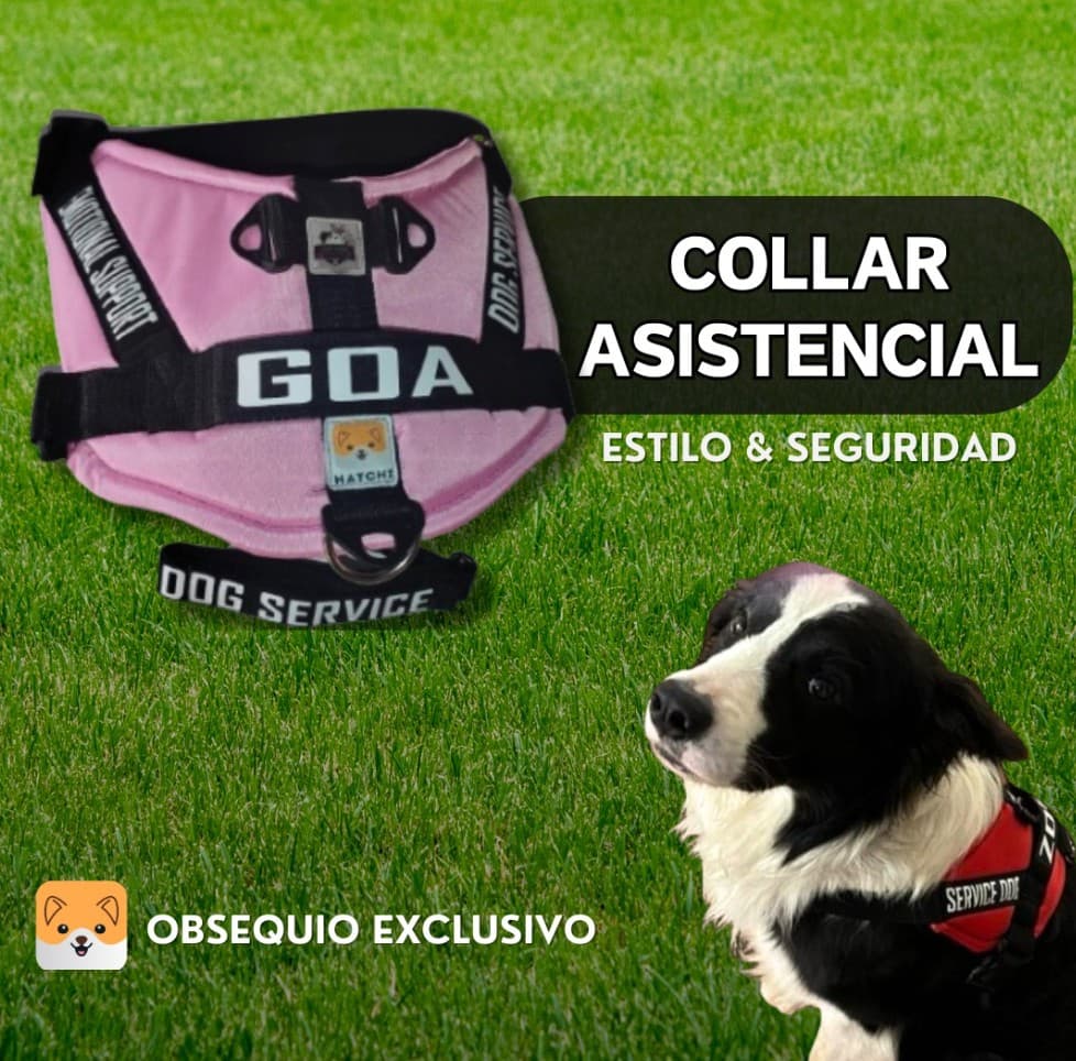 COLLAR ASISTENCIAL DOG SERVICE/EMOTIONAL SUPPORT