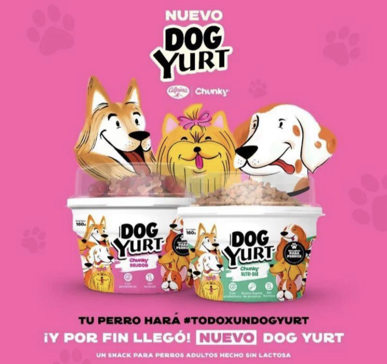 DOG YURT CHUNKY DELIDOG 