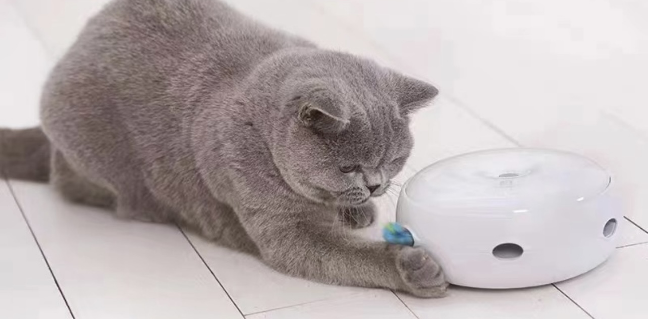 CATPRO INTERACTIVE TOY