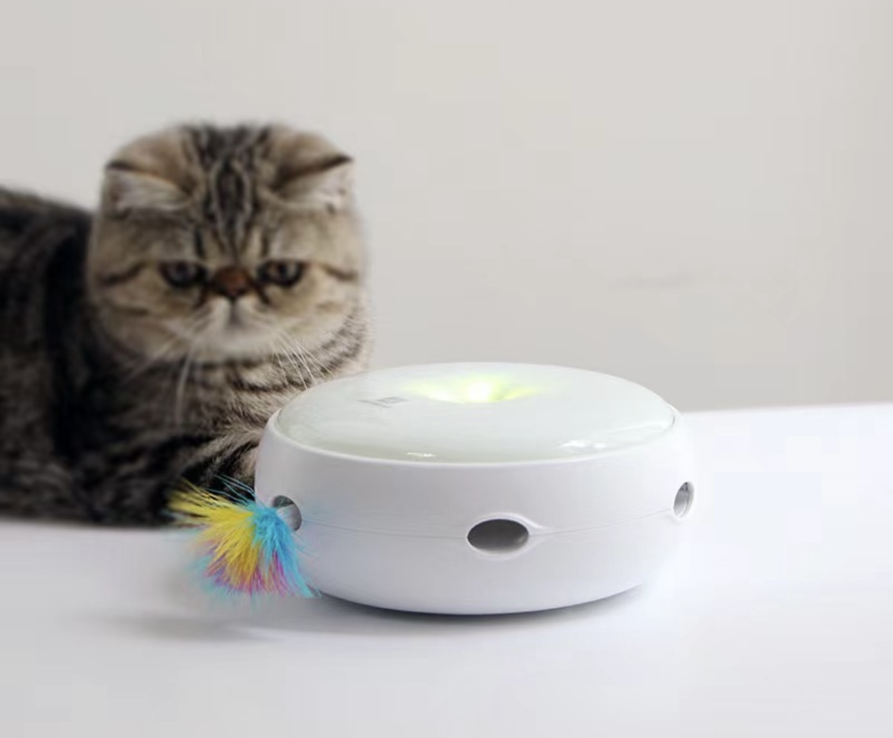 CATPRO INTERACTIVE TOY