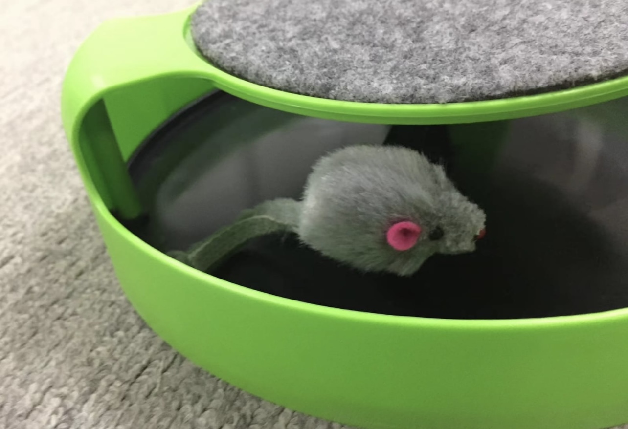 TRAP MOUSE FOR CATS