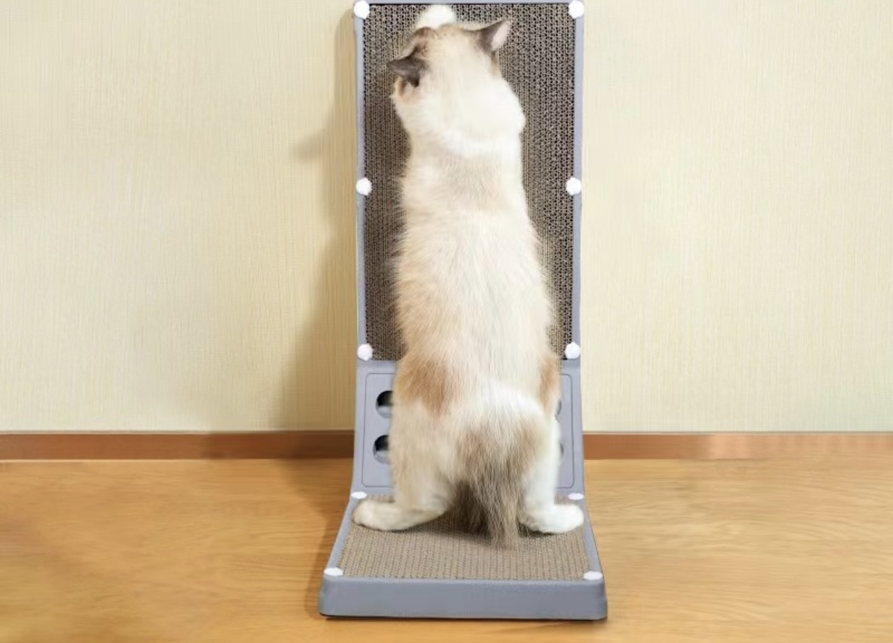 KITTY SCRATCHER 