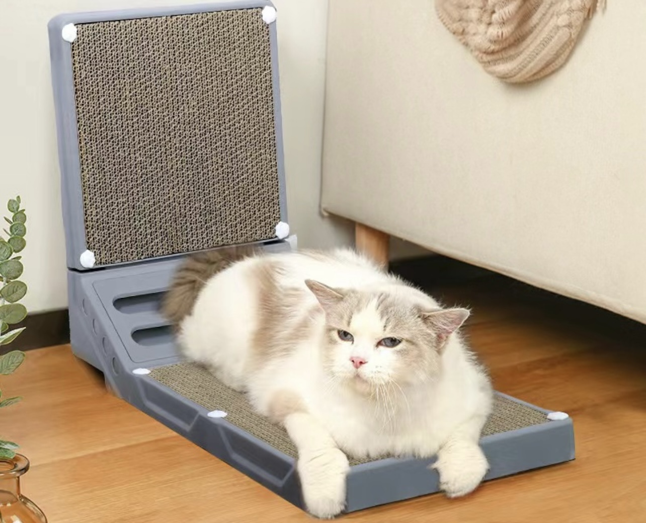 KITTY SCRATCHER 