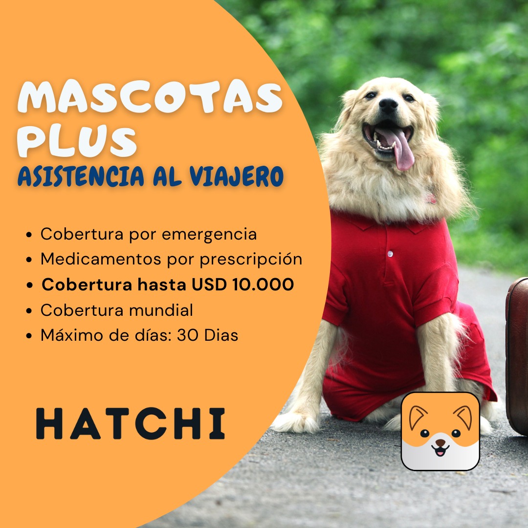 MASCOPLUS 10K DOGS