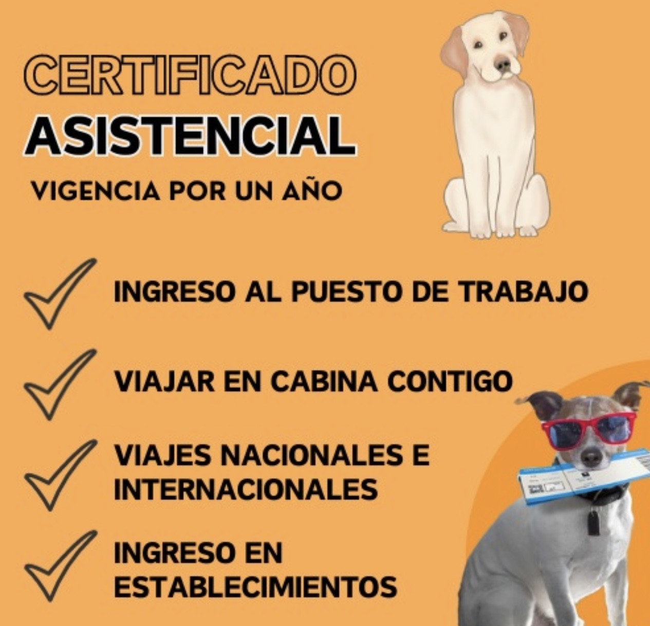 PAQUETE ASISTENCIAL-SERVICE DOG