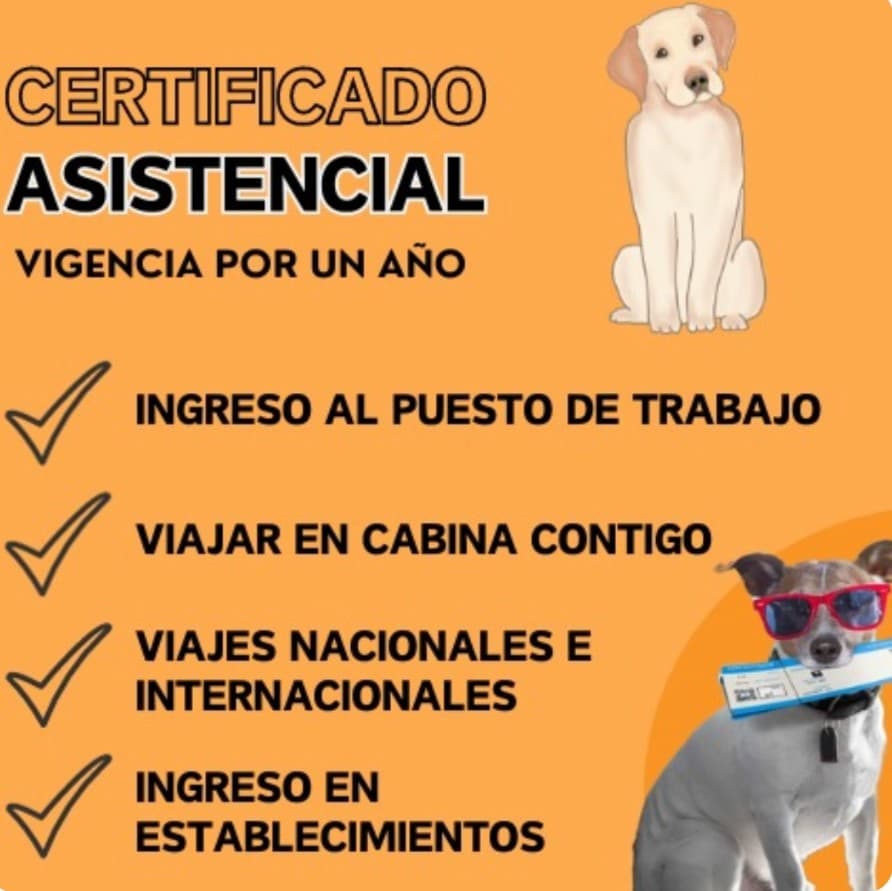 PAQUETE ASISTENCIAL-SERVICE DOG