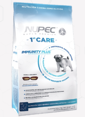 NUPEC - 1ST CARE