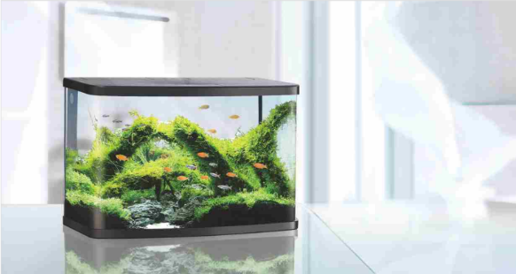 VISION AQUARIUM