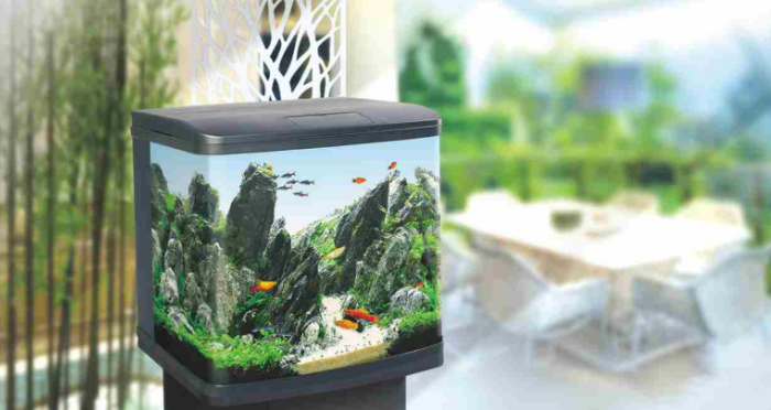 SIGHT AQUARIUM