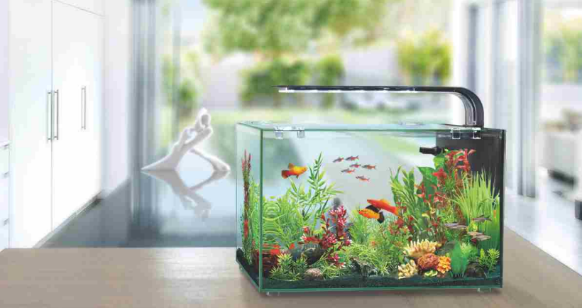 AQUACLEAR DESKTOP TANK