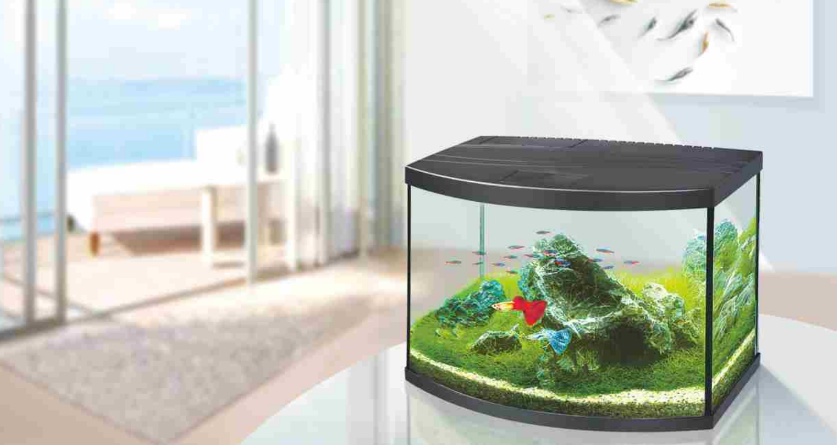 OASIS AQUARIUM