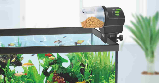 CHEFFY AUTOMATIC FISH FEEDER