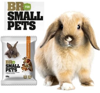 BR SMALL PETS GALLETAS