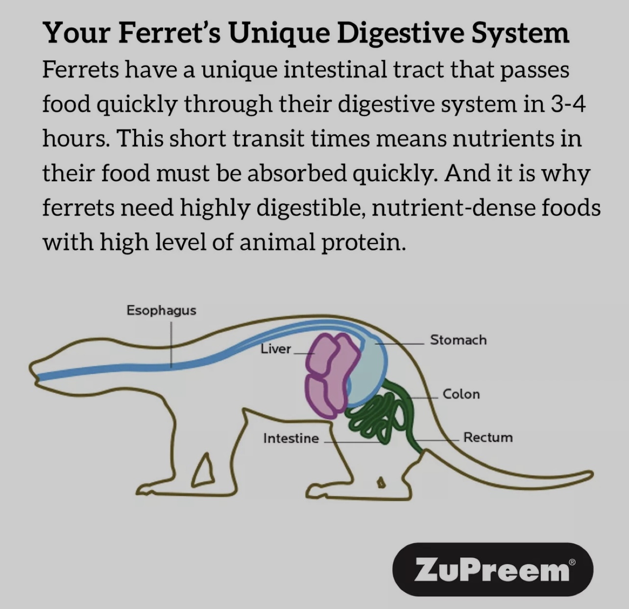 ZUPREEM FERRET DIET 8Lbs 