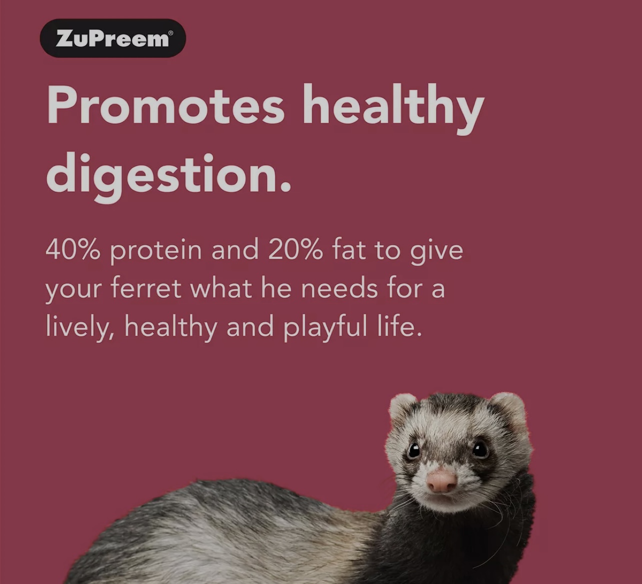 ZUPREEM FERRET DIET 8Lbs 