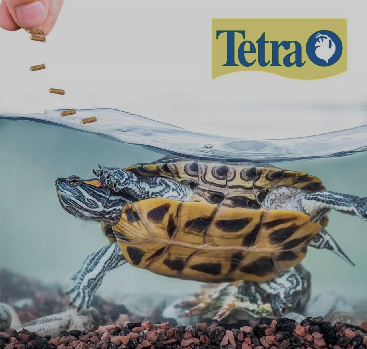 TETRA ALIMENTO PALOS FLOTANTES