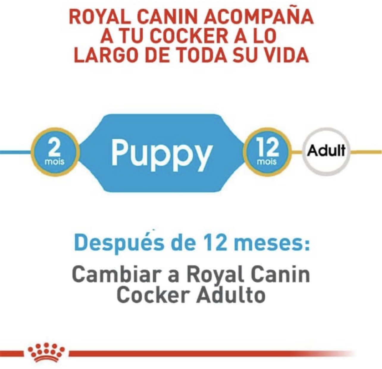 ROYAL CANIN - COCKER PUPPY