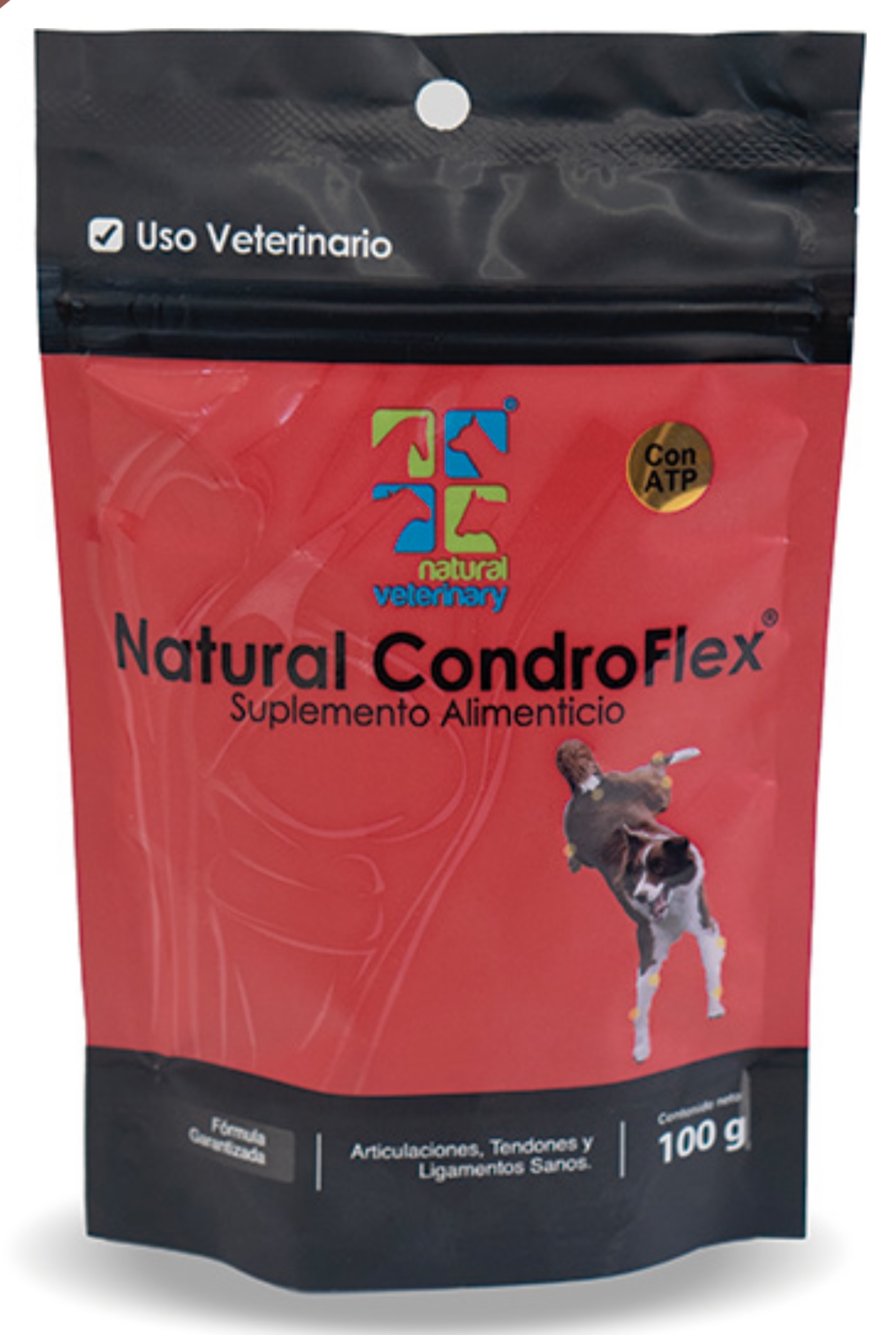 NATURAL CONDROFLEX 100Gr