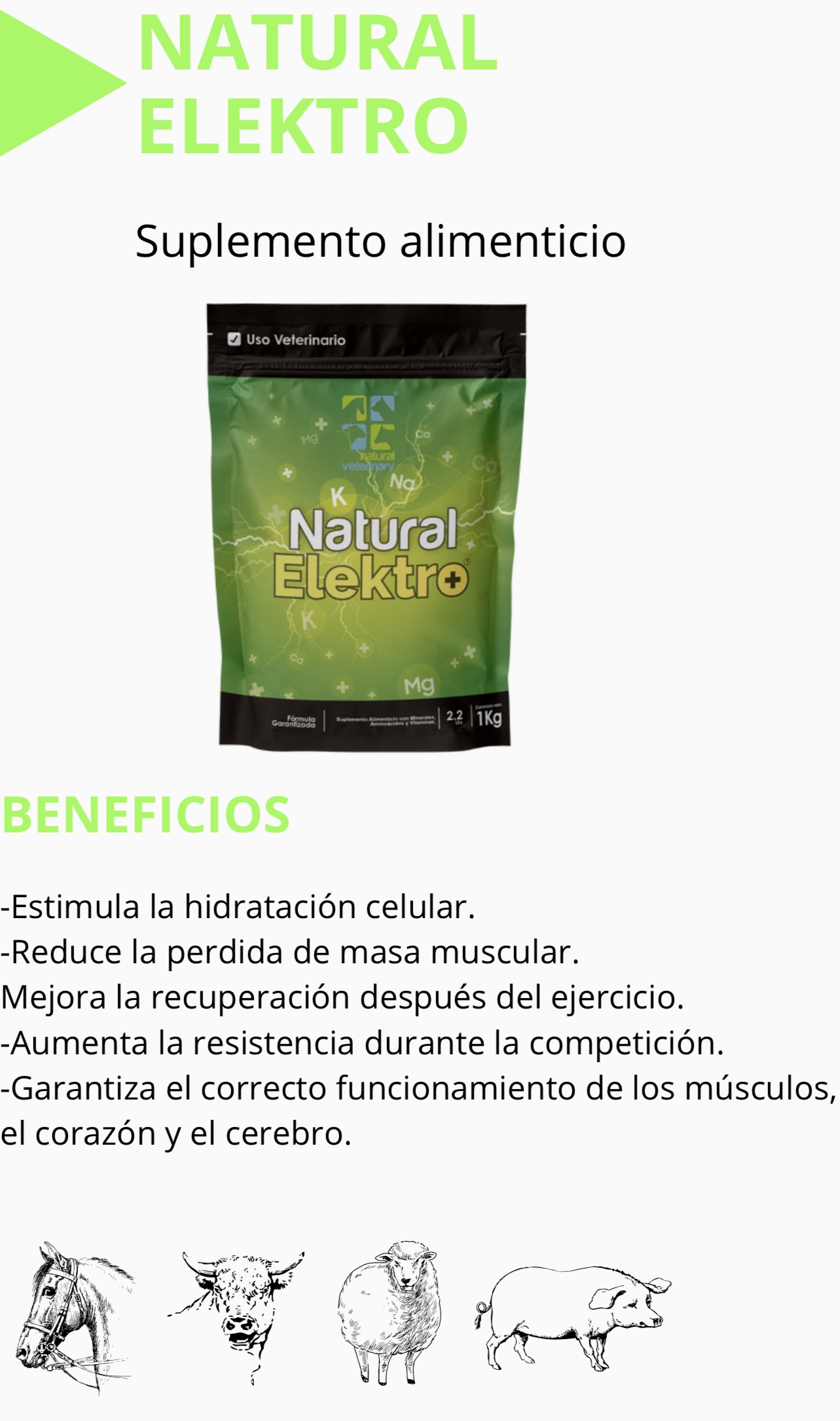 NATURAL ELEKTRO 100gr GRANJA